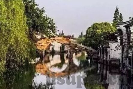 国产大象回家传媒导航-国产大象，以回家之名，引领传媒导航新风尚