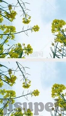 伦理文章-伦理的微光，在灰色地带寻找道德的灯塔