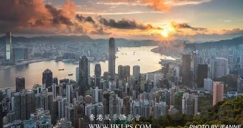 麻豆的视频-麻豆视频，探索数字时代的视觉盛宴与文化反思