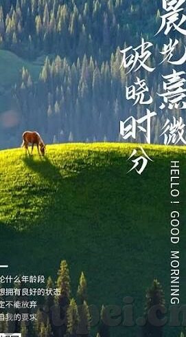 人妻大奶-探寻人妻大奶背后的社会与文化误解