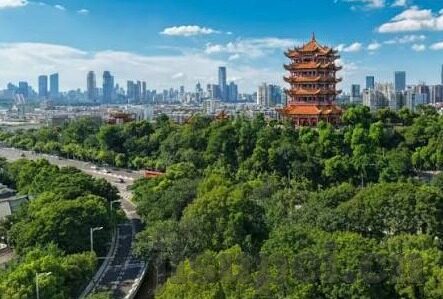 糖心app iOS-iOS平台的糖心app，一场关于科技与用户体验的优雅邂逅